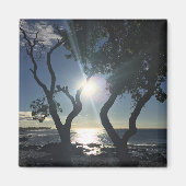 Hawaii Sunlit Trees Ocean Shore Color Fotografie Magnet (Vorne)