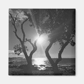 Hawaii Sunlit Trees Ocean Shore Schwarz und Weiß Magnet (Vorne)
