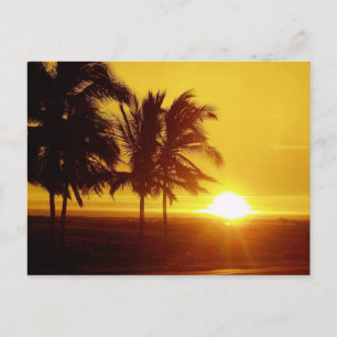 Hawaii Sunset Postcard Postkarte