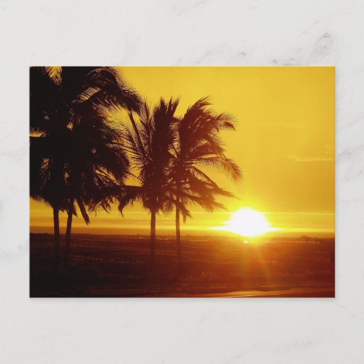 Hawaii Sunset Postcard Postkarte (Vorderseite)