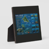 Hawaii-Tauchplätze Fotoplatte (Vorderseite)