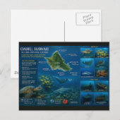 Hawaii-Tauchplätze Postkarte (Vorne/Hinten)
