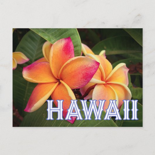 Hawaii Travel Postcard Postkarte (Vorderseite)