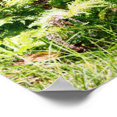 Hawaii Tree Poster (Ecke)