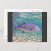 Hawaii Trevally Fish Postkarte (Vorne/Hinten)