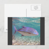 Hawaii Trevally Fish Postkarte (Vorne/Hinten)