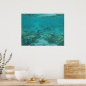 Hawaii Tropenfische unter Wasser landschaftliche L Poster (Küche)