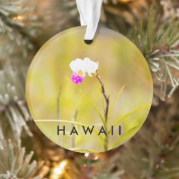 Hawaii Tropical Blume 2 Foto / Text Ornament