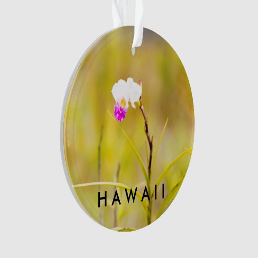 Hawaii Tropical Blume 2 Foto / Text Ornament (Vorderseite)