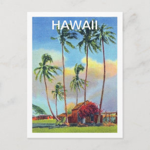 Hawaii, tropische Insel, altes Cottage mit Palmen Postkarte