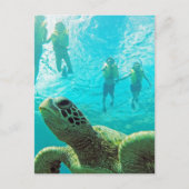 Hawaii Turtle and Snorkelers Postkarte (Vorderseite)