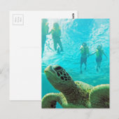 Hawaii Turtle and Snorkelers Postkarte (Vorne/Hinten)