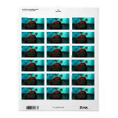 Hawaii Turtle Foto Label Adressaufkleber (Vorne)