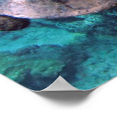 Hawaii Turtle Honu Poster (Ecke)