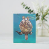Hawaii Turtle Muschel Postkarte (Stehend Vorderseite)
