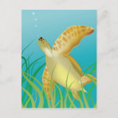 Hawaii Turtle Postkarte (Vorderseite)