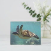Hawaii Turtle Postkarte (Stehend Vorderseite)
