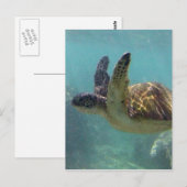 Hawaii Turtle Postkarte (Vorne/Hinten)