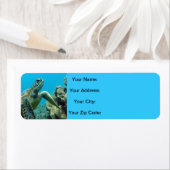 Hawaii Turtles (Insitu)