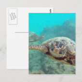 Hawaii Turtles - Honu Postkarte (Vorne/Hinten)