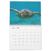 Hawaii Turtles Kalender (Mär 2026)