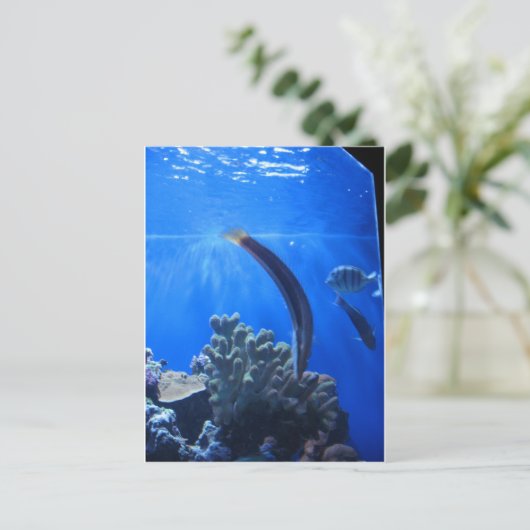 Hawaii Underwater Postkarte (Stehend Vorderseite)