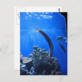 Hawaii Underwater Postkarte (Vorne/Hinten)