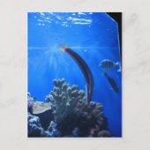 Hawaii Underwater Postkarte (Vorderseite)