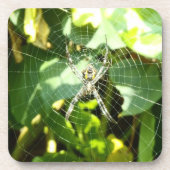 Hawaii-Untersetzer Getränkeuntersetzer (Vorderseite)