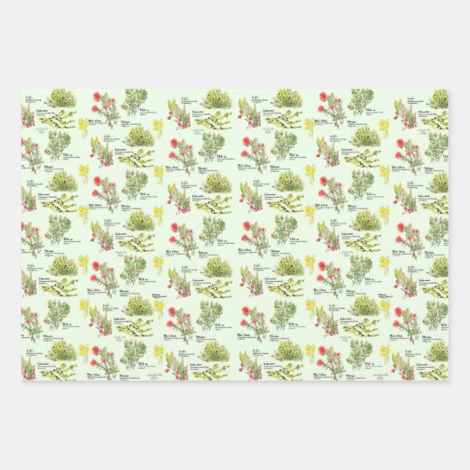 Hawaii Volcano Native Plants Wrapping Paper Geschenkpapier Set (Vorderseite 3)