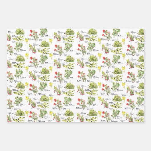 Hawaii Volcano Native Plants Wrapping Paper Geschenkpapier Set (Vorderseite 2)