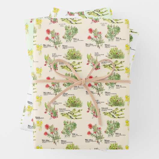 Hawaii Volcano Native Plants Wrapping Paper Geschenkpapier Set (Beispiel)