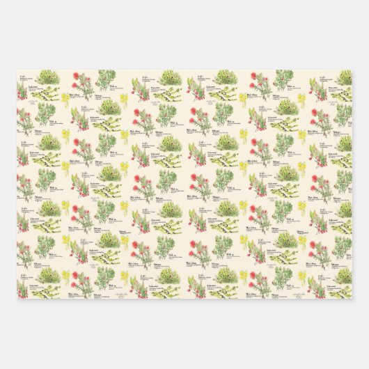 Hawaii Volcano Native Plants Wrapping Paper Geschenkpapier Set (Vorderseite)