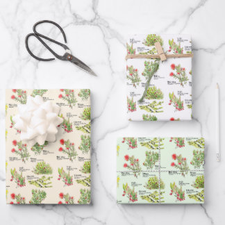 Hawaii Volcano Native Plants Wrapping Paper Geschenkpapier Set