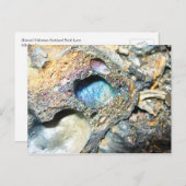 Hawaii Volcanoes Nationalpark Lava Postkarte (Vorne/Hinten)