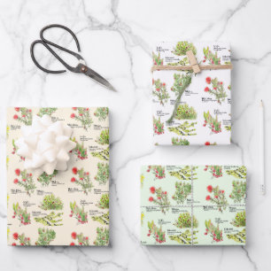 Hawaii-Vulkan-Heimatpflanzen-Geschenkpapier Geschenkpapier Set