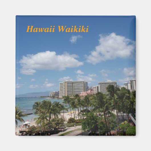 Hawaii Waikiki Magnet (Vorne)