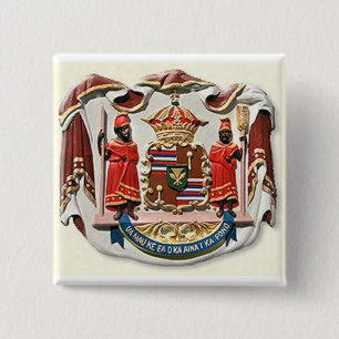 Hawaii Wappen Siegel Button