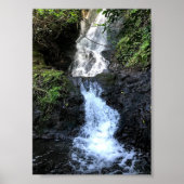Hawaii Waterfall Poster (Vorne)