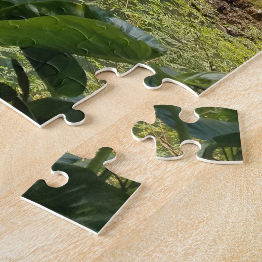 Hawaii Waterfall Scenic Travel Fotogray Puzzle (Seite)