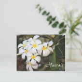 Hawaii, weiße Blume, Postkarte (Stehend Vorderseite)