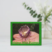 Hawaii Wild Blume Postkarte (Stehend Vorderseite)