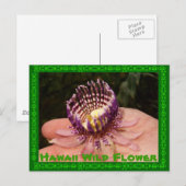 Hawaii Wild Blume Postkarte (Vorne/Hinten)