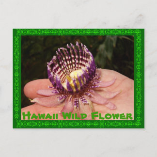 Hawaii Wild Blume Postkarte