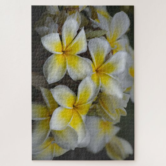Hawaii Yellow Plumeria Puzzle (Vertikal)