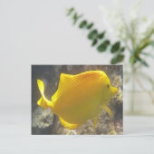 Hawaii Yellow Tang Fish Postkarte (Stehend Vorderseite)
