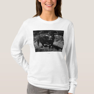 HawaiiA Wasser-Büffel PhotographHawaii T-Shirt