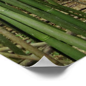 Hawaiian Bamboo Forest Poster (Ecke)