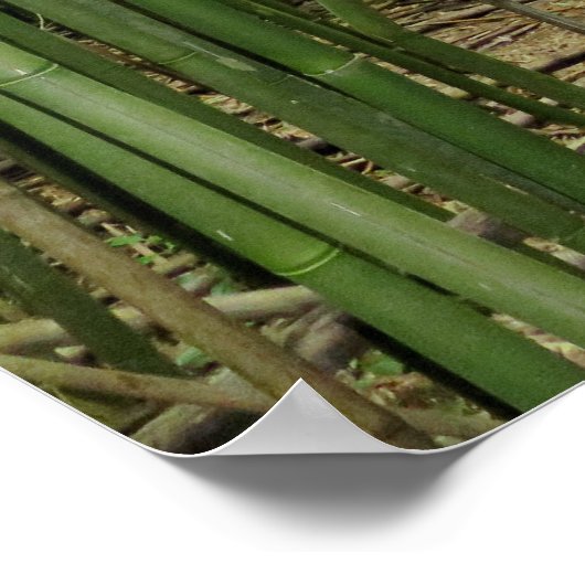 Hawaiian Bamboo Forest Poster (Ecke)
