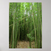 Hawaiian Bamboo Forest Poster (Vorne)
